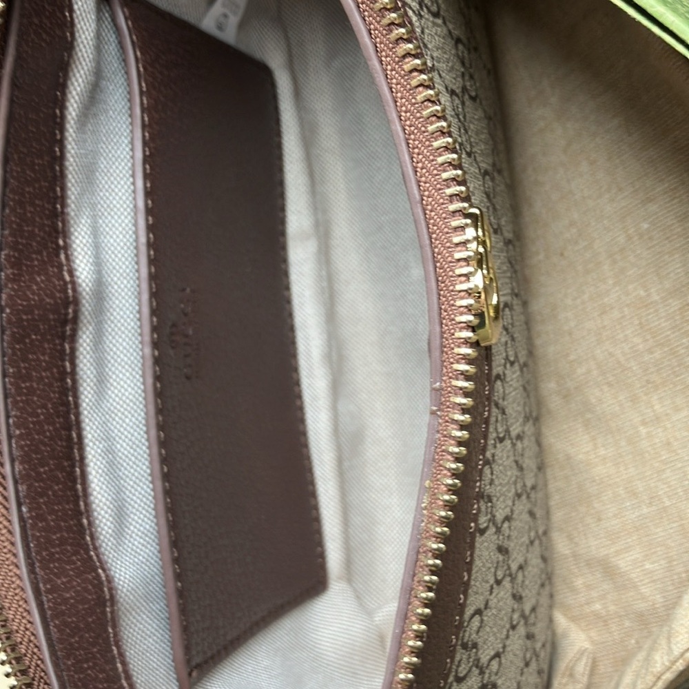 Gucci Ophidia GG mini purse